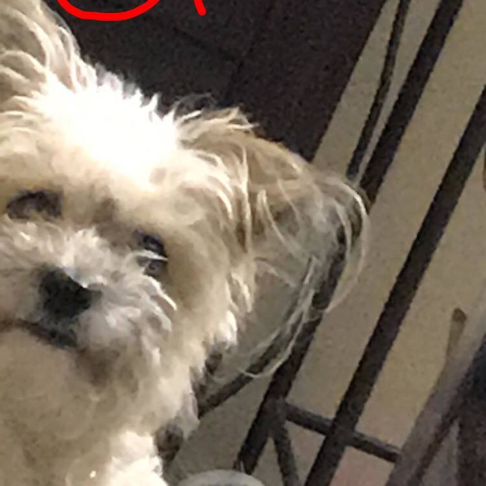 Meet your Posher, Marco